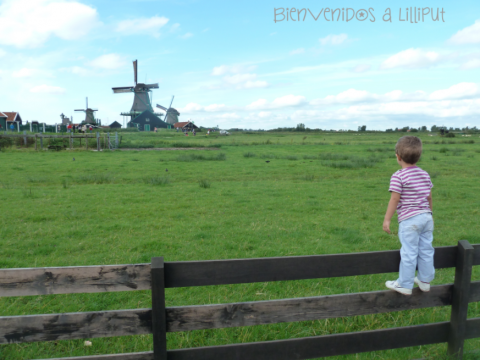 ÁMsterdam con niños