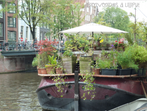 Ámsterdam accesible
