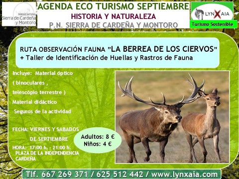 Ruta