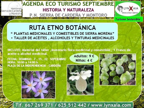 Ruta