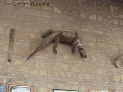 Caimán de la Fuensanta