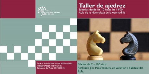 taller de ajedrez
