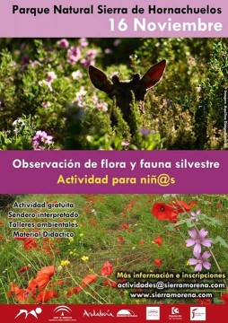 Observacion de aves