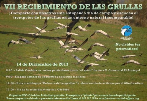 Recibimiento de las grullas