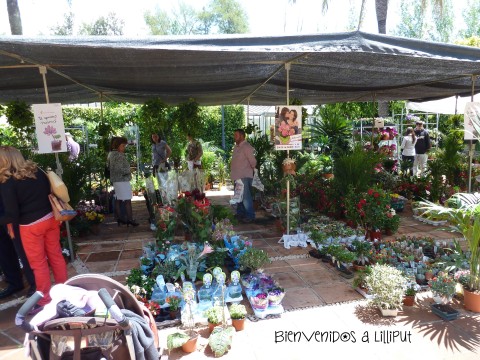 jardin botanico de Córdoba