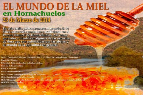 Taller Apícola