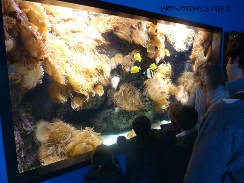 Acuario de Gijón
