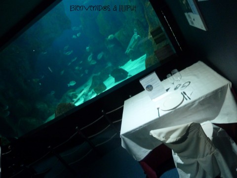 Cenas con los tiburones