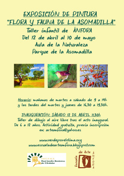 taller asomadilla