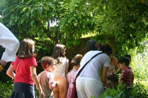botanico