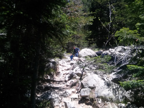 Runta Sant Maurici