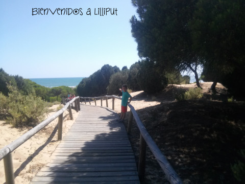 Camino de la playa Los Enebrales
