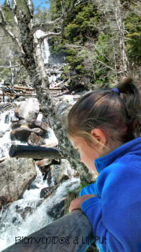 Observando la cascada