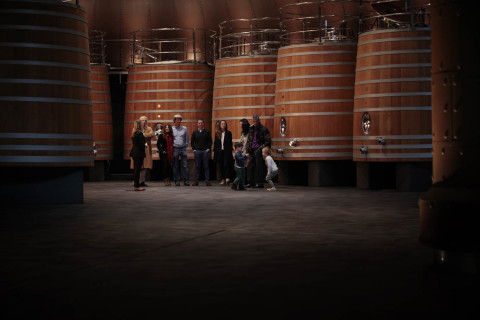 Bodega Vivanco