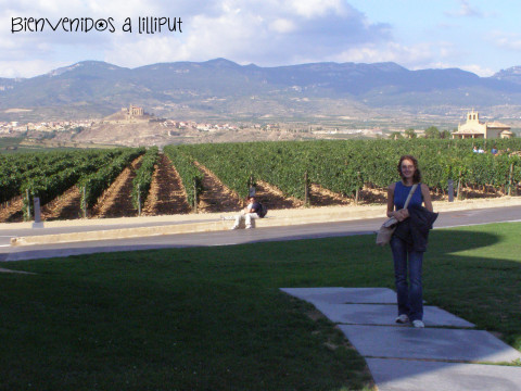Viñedos Vivanco 2008