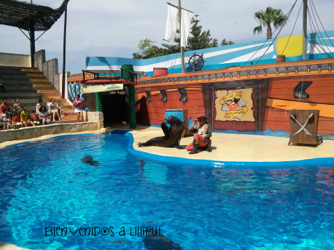 Leones Marinos en Mundomar