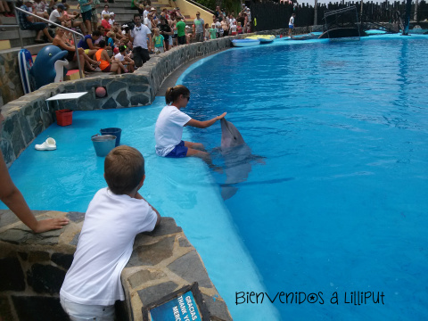 Delfines en Mundomar