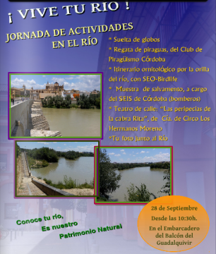 Actividades en el río