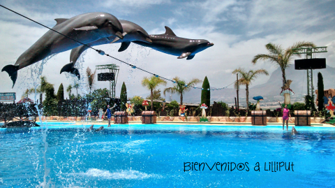 Delfines en Mundomar