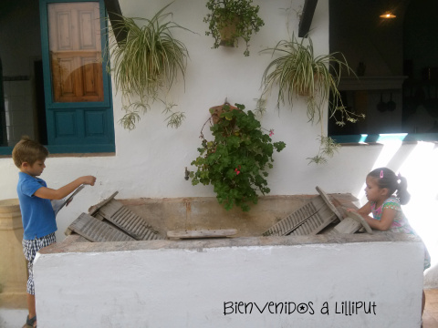 Patio de los Gatos