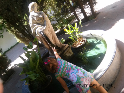 Patio de la Madama