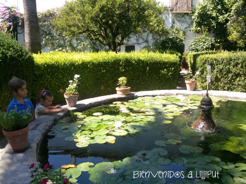 El Jardín de Palacio de VIana