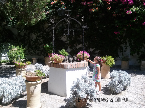 Patio del Pozo en Viana