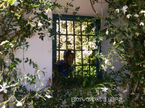 Ventana Patio de los Jardineros