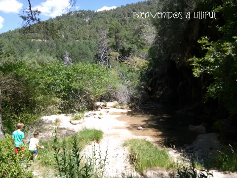 Cascadas Nacimiento Río Cuervo