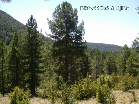 Sendero de la Turbera