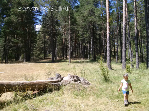 Sendero de la Turbera