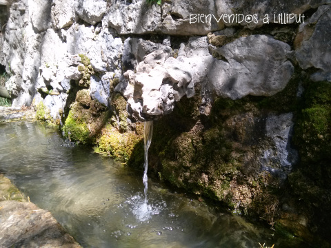 Fuente Nacimiento Río Cuervo