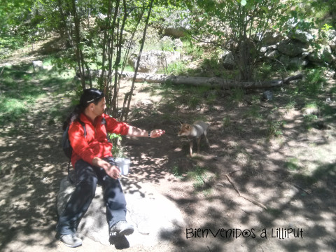 Centro de Fauna MonNatura 