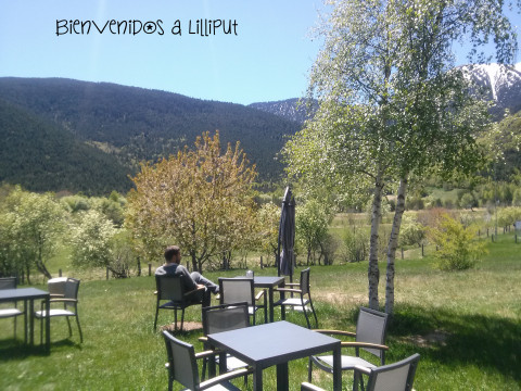Terraza...¿un café o un libro?