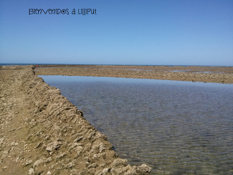 Corrales de Pesca en Chipiona