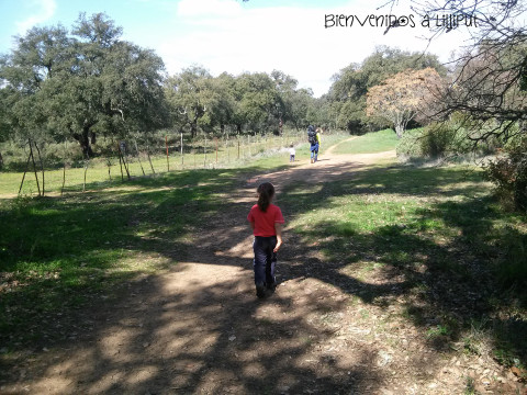 Vereda de Trassierra V