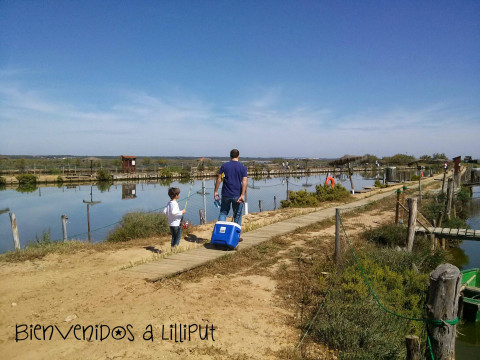 Las Salinas del Astur 2