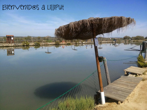 Las Salinas del Astur 4