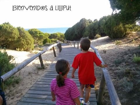 Camino de la playa