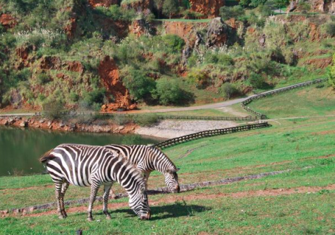 Parque de Cabárceno. Foto: ParquedeCabarceno.com