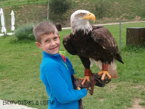 Rapaces en Cabárceno