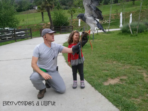 Vuelo rapaces en Cabárceno