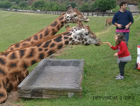 Visita Salvaje Parque de la Naturaleza de Cabarceno