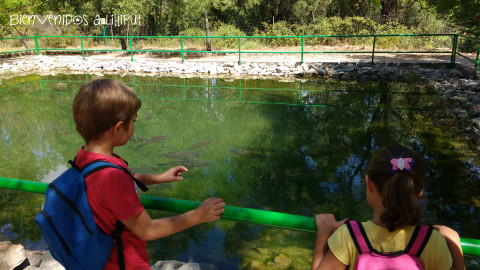 Cazorla con niños, Pantaneta Centro Interpretación
