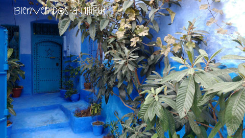 Medina Chefchaouen 