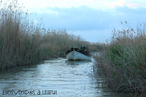 Barca por la albufera