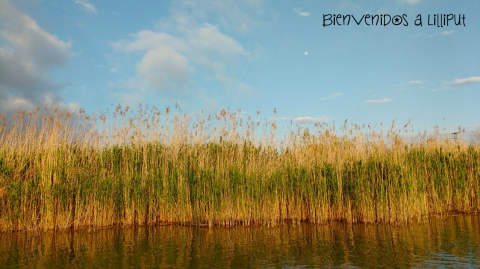Albufera