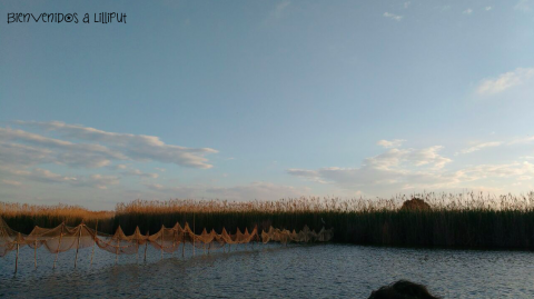 Zona de pesca en la Albufera