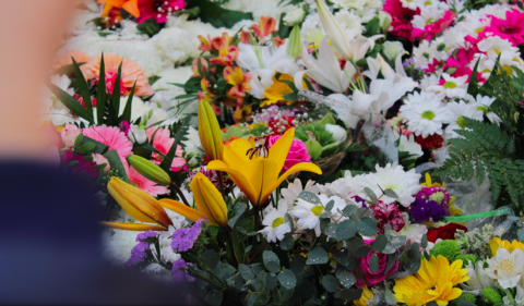 Flores de la Virgen