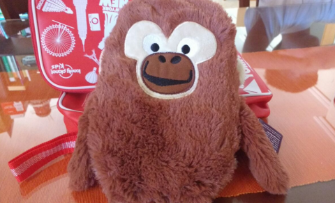 Enrico, the monkey